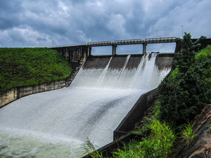3 leviers pour rentabiliser la transition énergétique en entr...